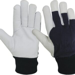 DRIVER GLOVES HTL®