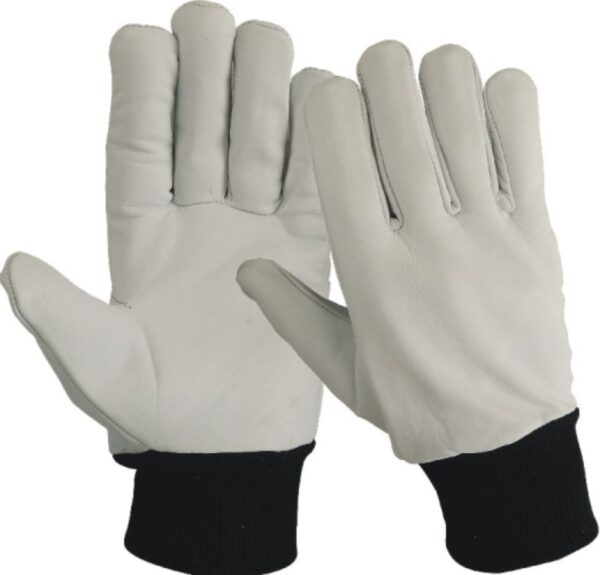 DRIVER_GLOVES_HTL®