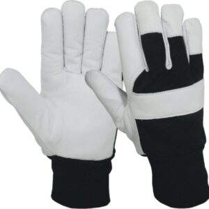 DRIVER GLOVES HTL®