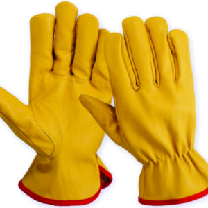 DRIVER GLOVES HTL®