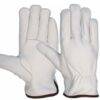 DRIVER_GLOVES_HTL®